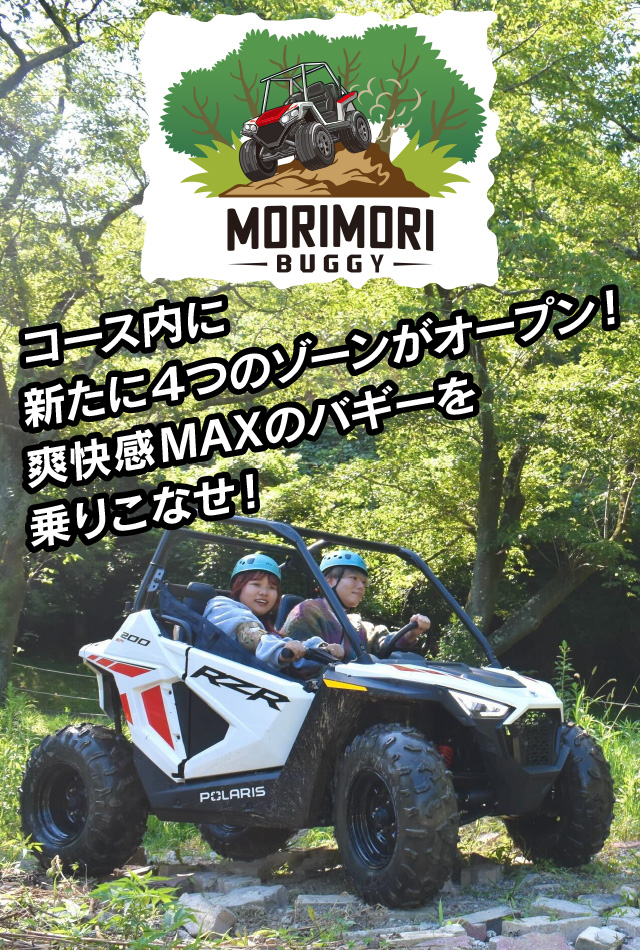 ＭＯＲＩ ＭＯＲＩバギー
