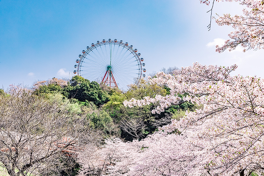 相模湖森林渡假村