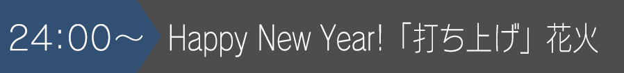 24:00~Happy New Year!「打ち上げ」花火