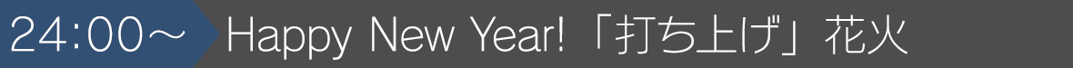 24:00~Happy New Year!「打ち上げ」花火
