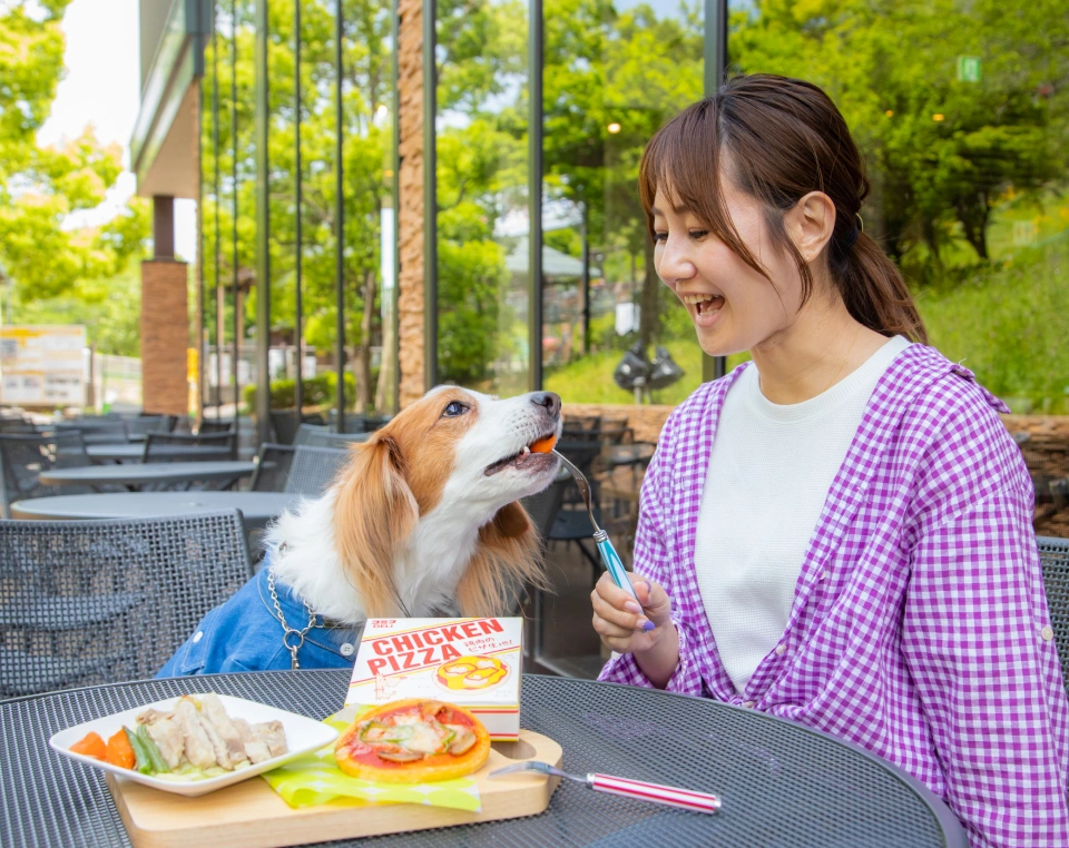 食事するワンちゃんと人