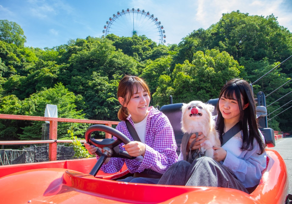 F-1カートに乗っている人とワンちゃん