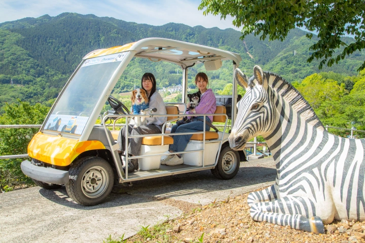 もりもりサファリ ぼうけんカートに乗るワンちゃんと人