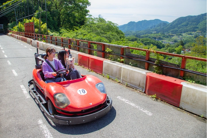 F-1カートに乗るワンちゃんと人