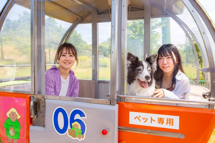 お山のかんらんしゃに乗るワンちゃんと人