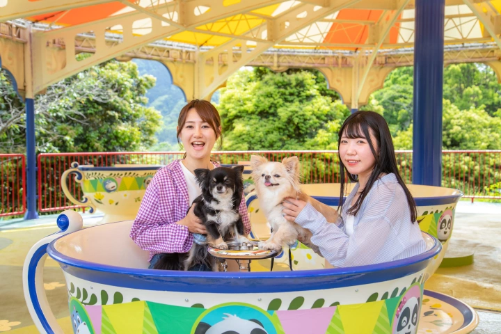 ティーパーティーに乗るワンちゃんと人
