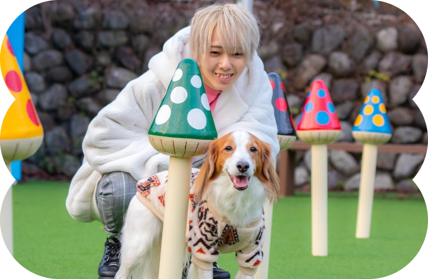 キノコ型のスラロームで遊ぶワンちゃんと人