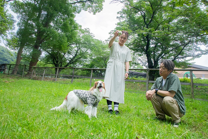 入園口手前ドッグランで遊ぶワンちゃん