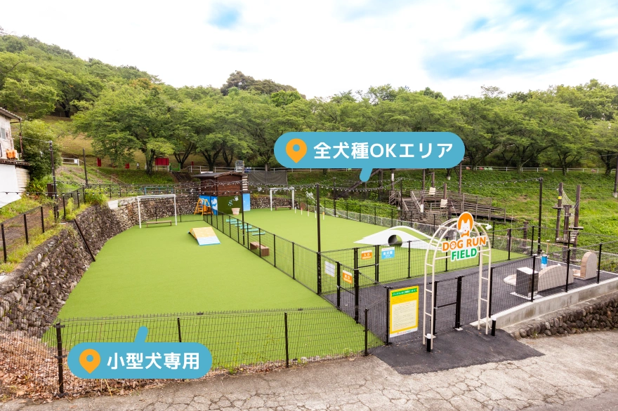 「鏡の館」奥ドッグラン全体像
