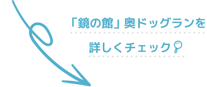「鏡の館」奥ドッグランを詳しくチェック