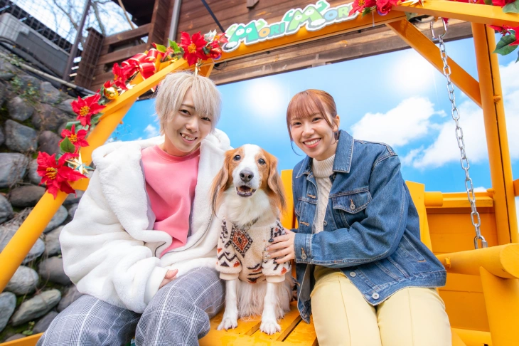 フォトスポット「お山のリゾートブランコ」で写真を撮るワンちゃんと人