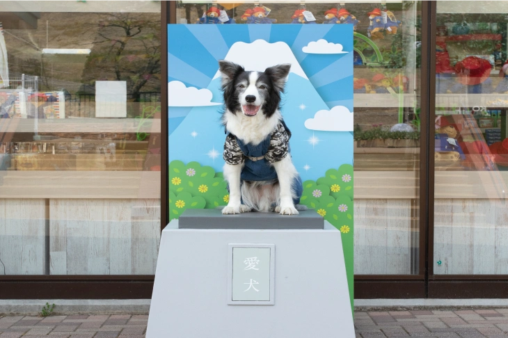 フォトスポット「愛犬ハチ公スポット」で写真を撮るワンちゃん