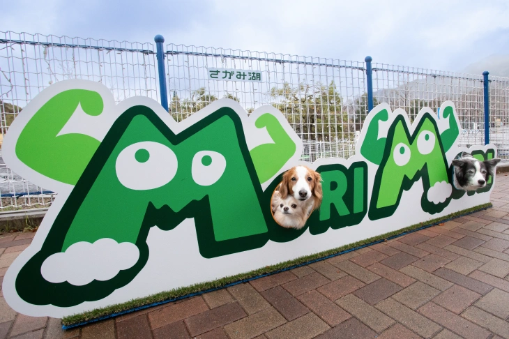 フォトスポット「MORIMORIロゴスポット」で写真を撮るワンちゃん