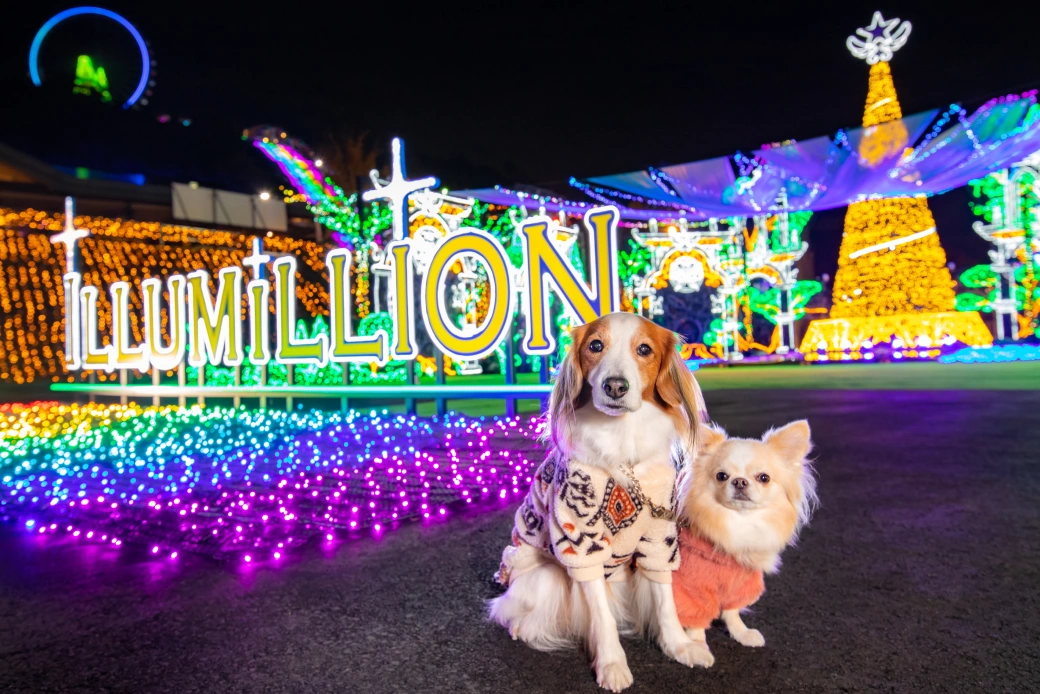 イルミリオンで写真を撮るワンちゃん