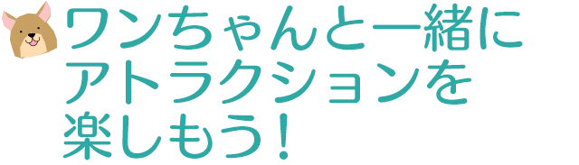 ワンちゃんと一緒にお山のかんらんしゃ・ペアリフトに乗ることができます！