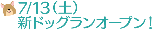 さらに、「ドッグランフィールド」もございます！