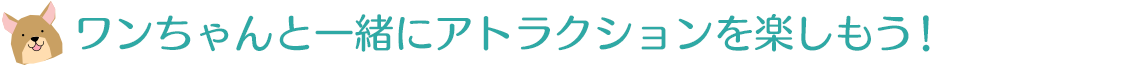 ワンちゃんと一緒にお山のかんらんしゃ・ペアリフトに乗ることができます！