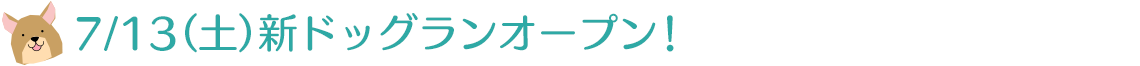 さらに、「ドッグランフィールド」もございます！