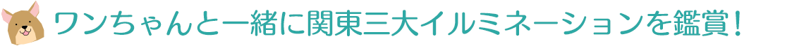 「ワンちゃん用リードフック」も定備しております！