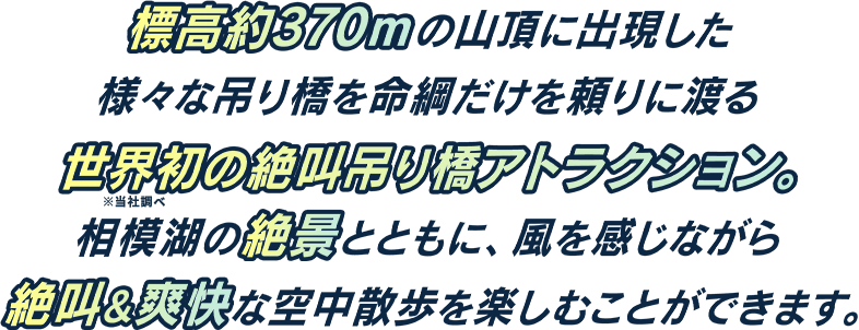 標高約400mの山頂に出現した様々な吊り橋を命綱だけを頼りに渡る世界初の絶叫吊り橋アトラクション。相模湖の絶景とともに、風を感じながら絶叫&爽快な空中散歩を楽しむことができます。