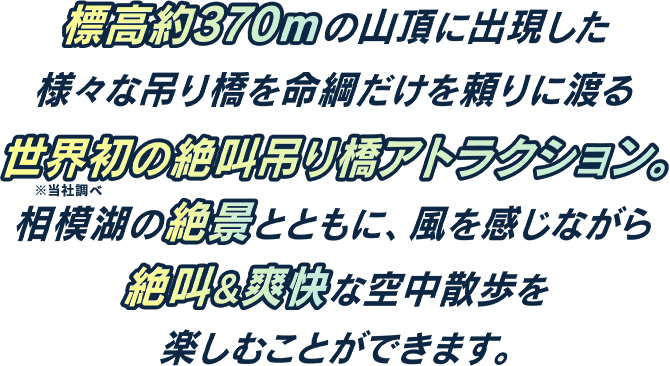 標高約400mの山頂に出現した様々な吊り橋を命綱だけを頼りに渡る世界初の絶叫吊り橋アトラクション。相模湖の絶景とともに、風を感じながら絶叫&爽快な空中散歩を楽しむことができます。