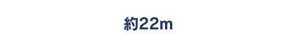 約22m