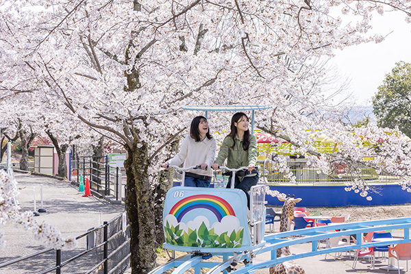 スカイライダー