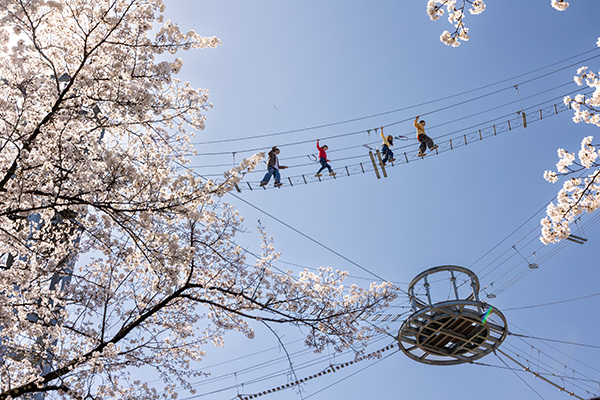 絶叫吊り橋「風天」