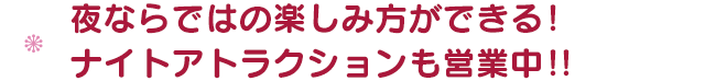 夜ならではの楽しみ方ができる！ナイトアトラクション営業中！