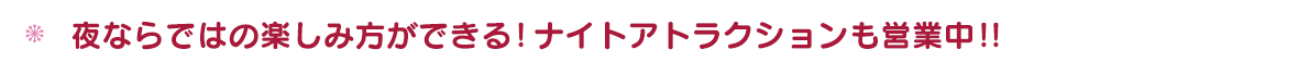 夜ならではの楽しみ方ができる！ナイトアトラクション営業中！