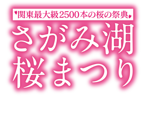 さがみ湖桜まつり