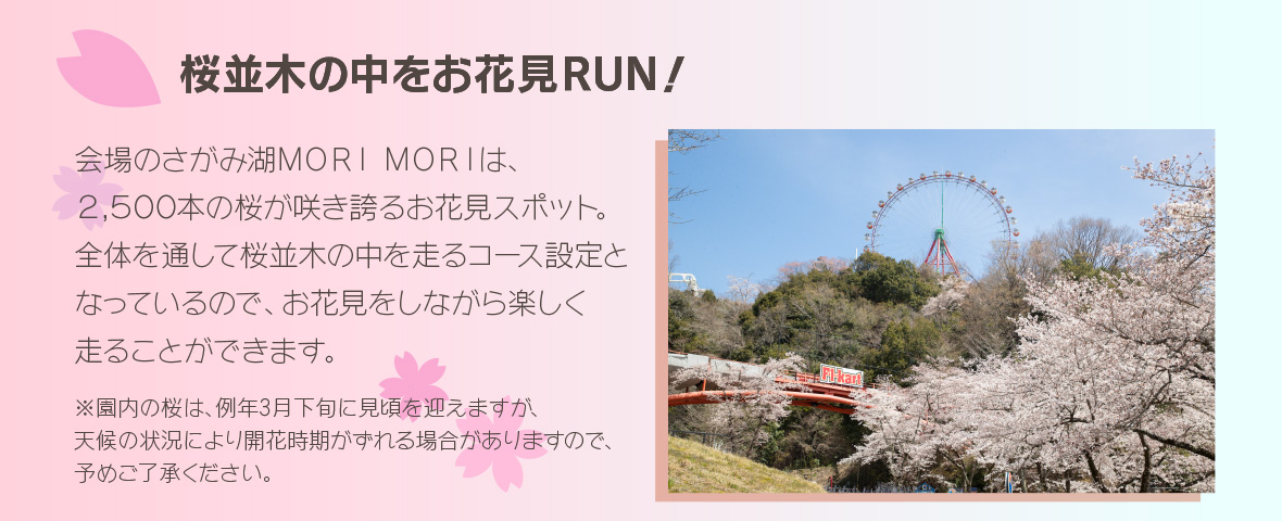 桜並木の中をお花見RUN！