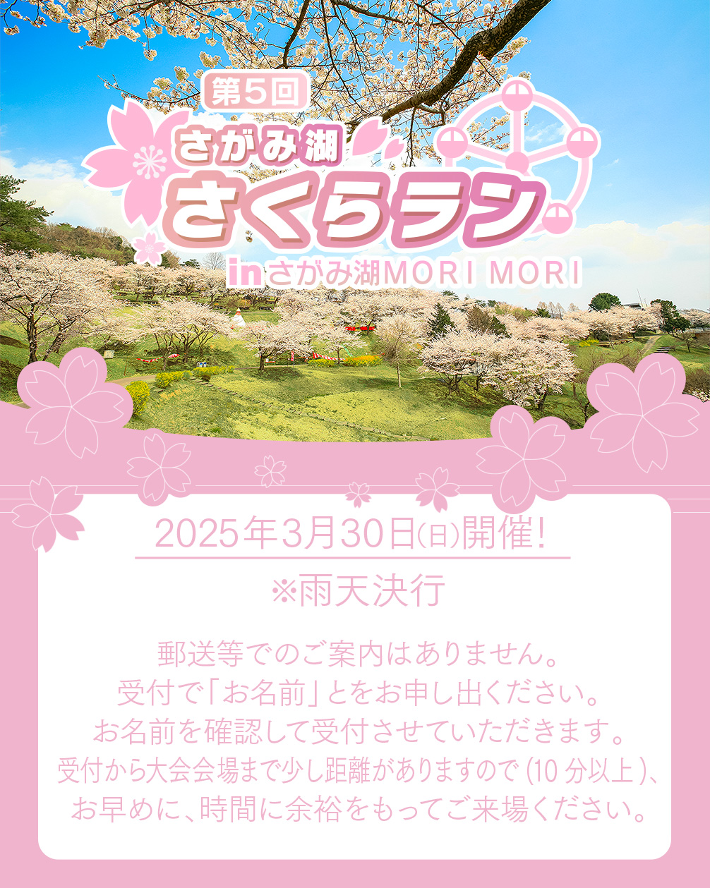 2024年3月31日（日）開催 ※雨天決行 関東最大級2,500本の桜が咲き誇る広大なさがみ湖プレジャーフォレストを楽しく歩いて走って健康増進！今年のさがみ湖さくらランは親子ランが新登場！