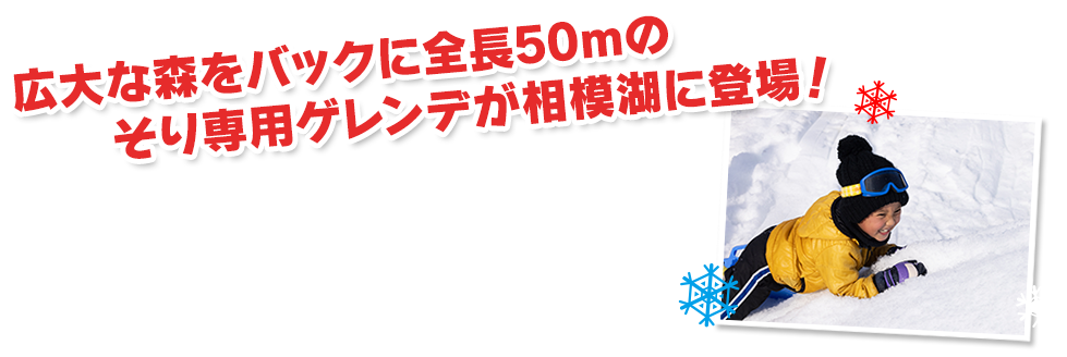 広大な森をバックに全長50mのそり専用ゲレンデが相模湖に登場！